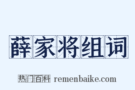 薛家将组词是什么意思的图片
